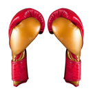 Cleto Reyes High Precision Boxing Gloves - red/gold